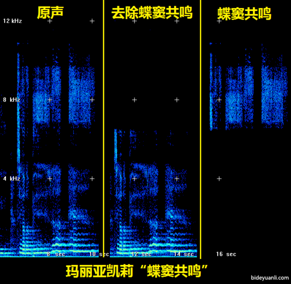 最高级的声乐共鸣方式—蝶窦共鸣